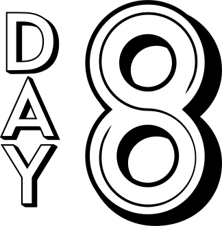 Day 8